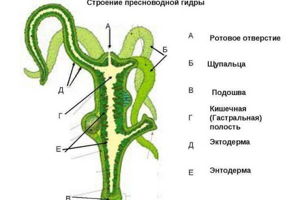 Ссылка кракен зеркало рабочее