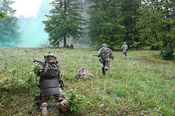 Адрес сайта даркнет