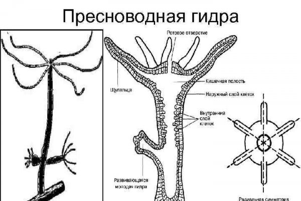 Рабочая блэкспрут