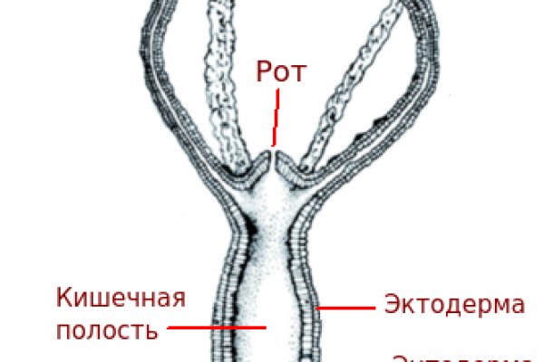 Русские онион сайты