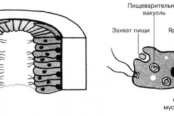 Кракен ссылка kraken