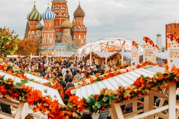 Как пишется сайт меги в торе