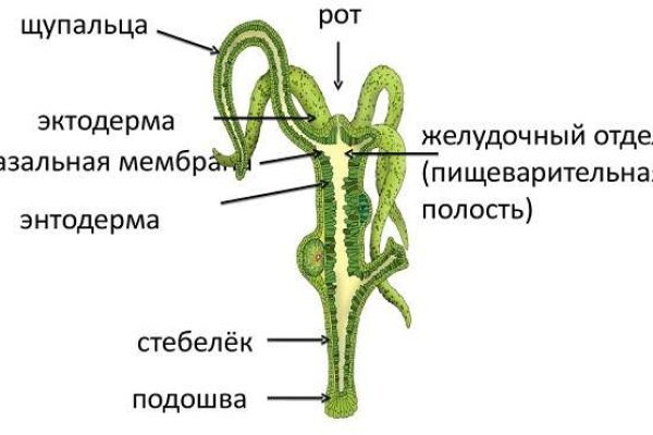 Как в тор браузере зайти на мегу